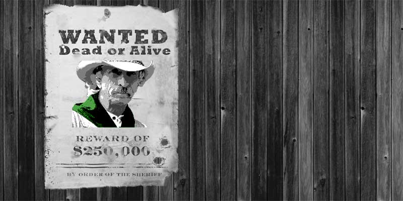 Wanted Poster Cowboy